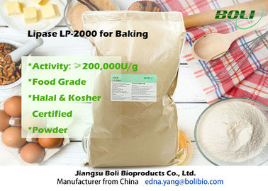 Lipase σκονών βαθμού τροφίμων ένζυμο lp-2000 υψηλός αποδοτικός για το αρτοποιείο 200000 U/γ