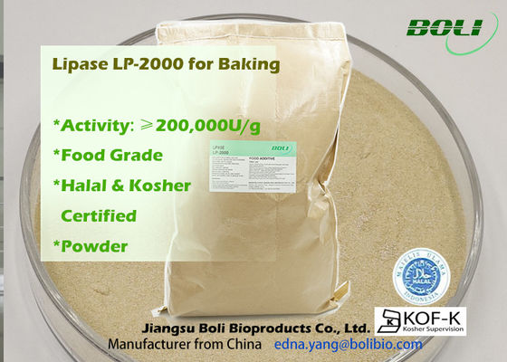 200000u/G σκόνη lp-2000 υψηλό αποδοτικό Lipase ένζυμο για τη χρήση τροφίμων αρτοποιείων