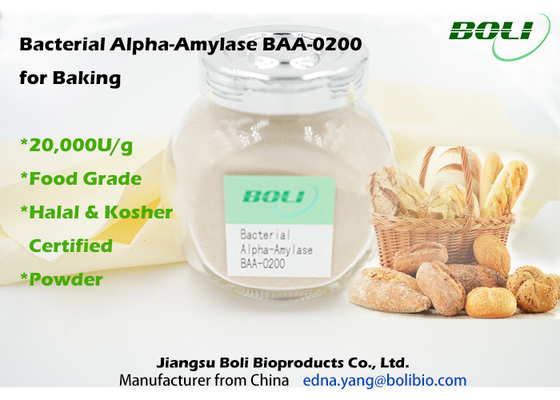 Βακτηριακή άλφα αμυλάση baa-0200 για το ψήσιμο 20000U/G στα τρόφιμα