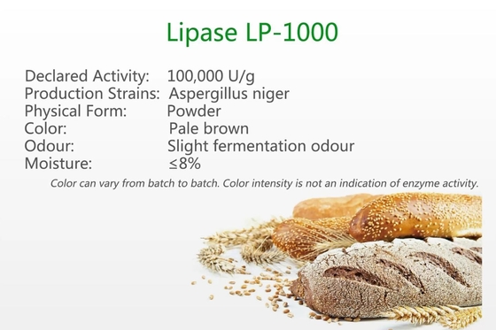Lipase lp-1000 σκόνη ενζυμικής υδρόλυσης ψησίματος