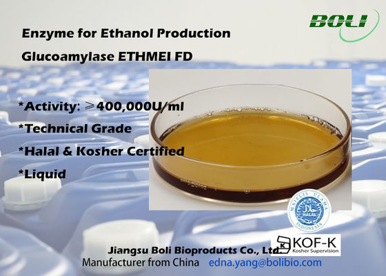 Υψηλό Glucoamylase δραστηριότητας ένζυμο ETHMEI FD για την παραγωγή αιθανόλης